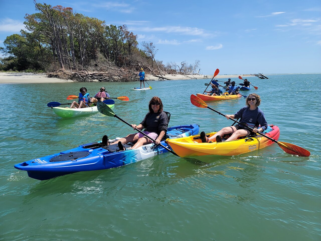 Salt Marsh Tours