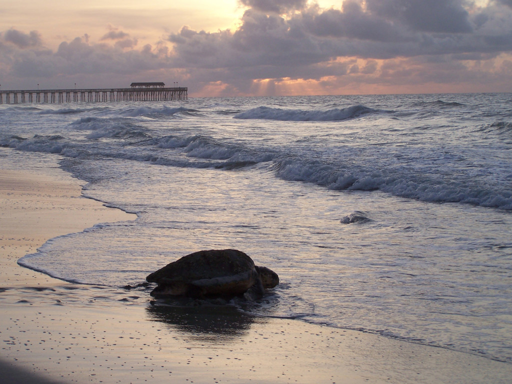 Myrtle Beach State Park
